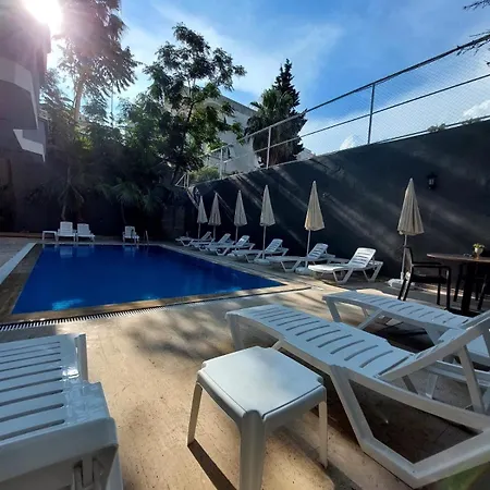 Afd Alanya